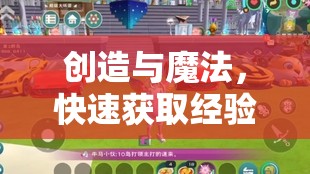 创造与魔法，快速获取经验值攻略，掌握资源管理高效技巧并避免经验浪费