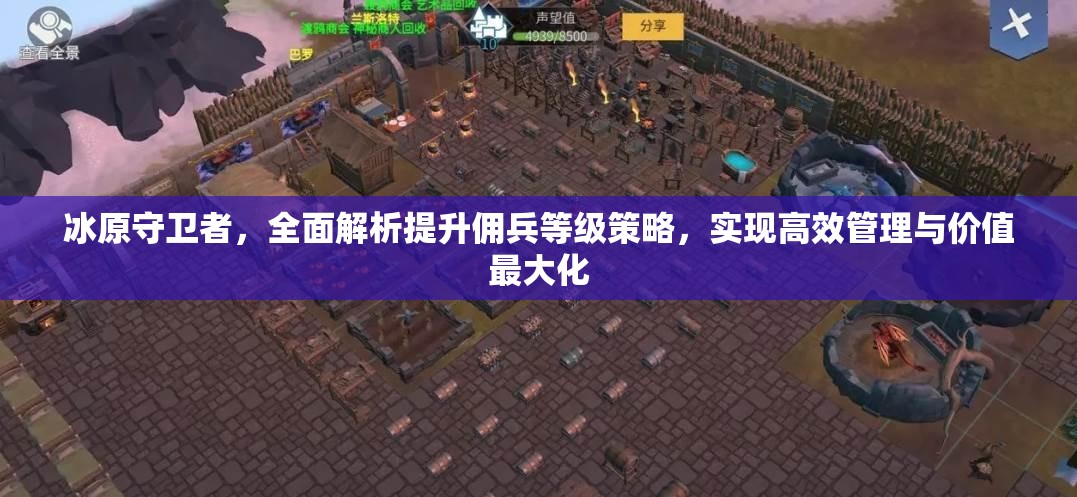 冰原守卫者，全面解析提升佣兵等级策略，实现高效管理与价值最大化