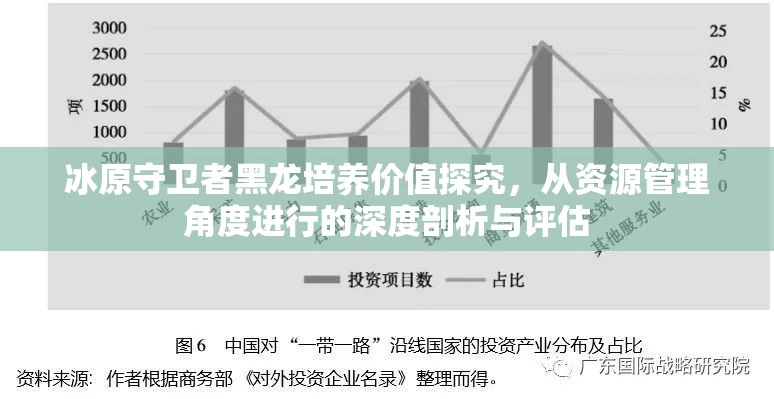 冰原守卫者黑龙培养价值探究，从资源管理角度进行的深度剖析与评估