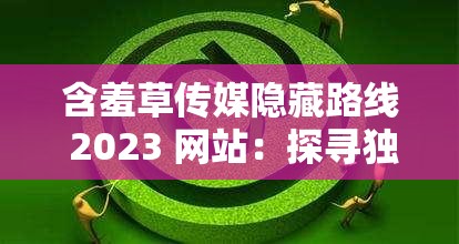 含羞草传媒隐藏路线 2023 网站：探寻独特精彩之旅