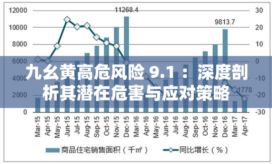 九幺黄高危风险 9.1 ：深度剖析其潜在危害与应对策略