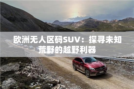 欧洲无人区码SUV：探寻未知荒野的越野利器