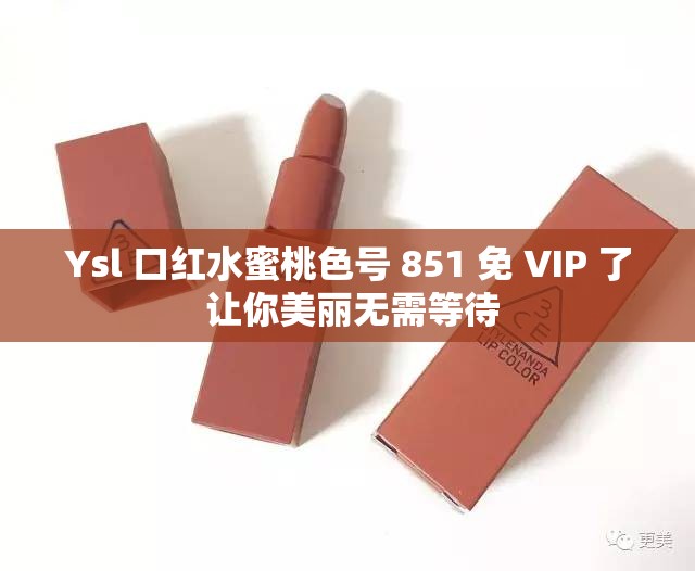 Ysl 口红水蜜桃色号 851 免 VIP 了 让你美丽无需等待