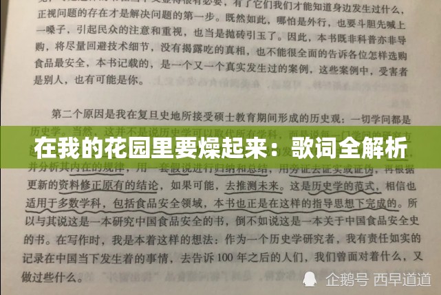 在我的花园里要燥起来：歌词全解析