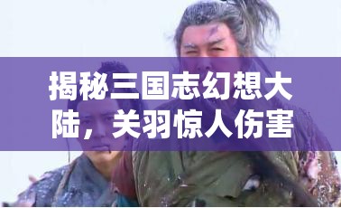 揭秘三国志幻想大陆，关羽惊人伤害背后的真相，竟如此令人意想不到！