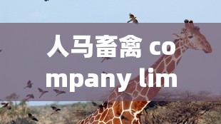 人马畜禽 company limited 旗下动物明星的精彩演绎