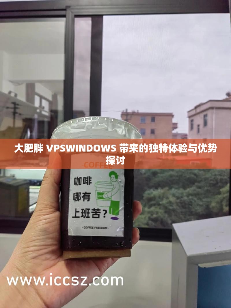 大肥胖 VPSWINDOWS 带来的独特体验与优势探讨