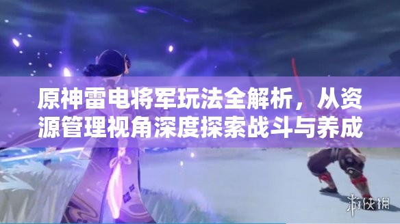 原神雷电将军玩法全解析，从资源管理视角深度探索战斗与养成策略