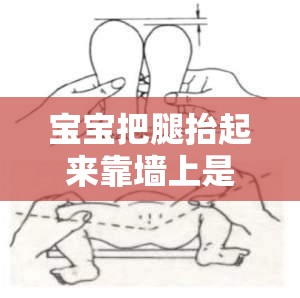 宝宝把腿抬起来靠墙上是怎么回事：需警惕髋关节发育不良