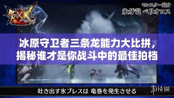 冰原守卫者三条龙能力大比拼，揭秘谁才是你战斗中的最佳拍档与伙伴