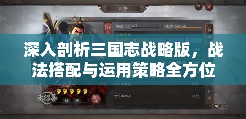 深入剖析三国志战略版，战法搭配与运用策略全方位深度解析