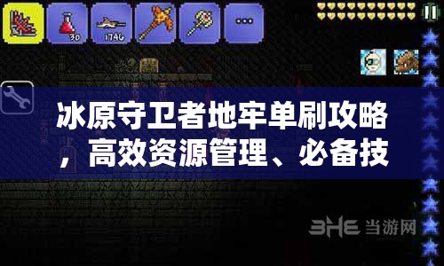 冰原守卫者地牢单刷攻略，高效资源管理、必备技巧与实战策略详解