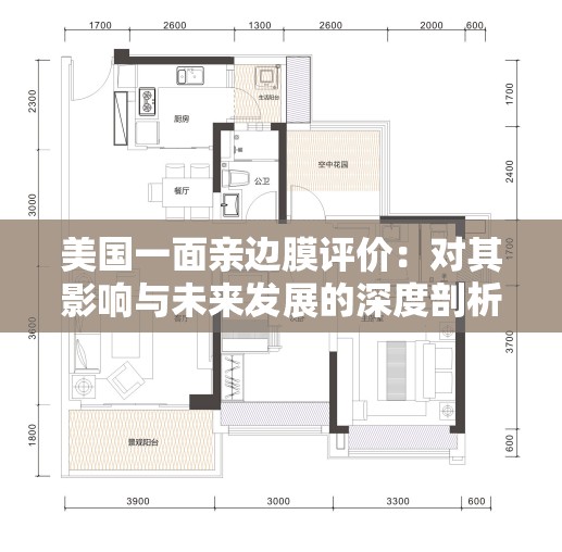 美国一面亲边膜评价：对其影响与未来发展的深度剖析