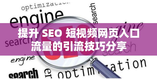 提升 SEO 短视频网页入口流量的引流技巧分享