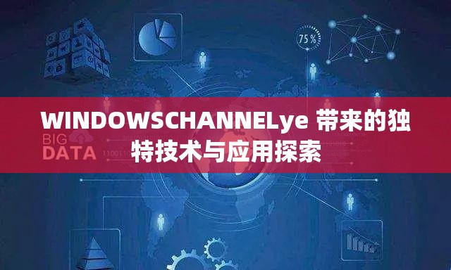 WINDOWSCHANNELye 带来的独特技术与应用探索