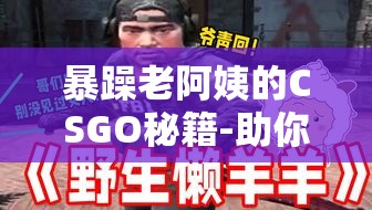 暴躁老阿姨的CSGO秘籍-助你驰骋游戏战场的宝典