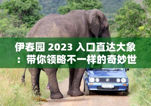 伊春园 2023 入口直达大象：带你领略不一样的奇妙世界