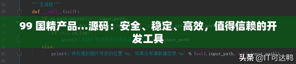 99 国精产品…源码：安全、稳定、高效，值得信赖的开发工具