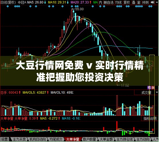 大豆行情网免费 v 实时行情精准把握助您投资决策