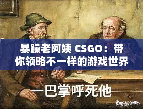 暴躁老阿姨 CSGO：带你领略不一样的游戏世界