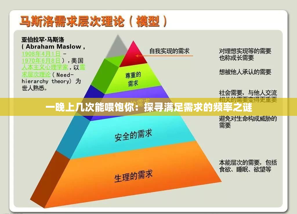 一晚上几次能喂饱你：探寻满足需求的频率之谜