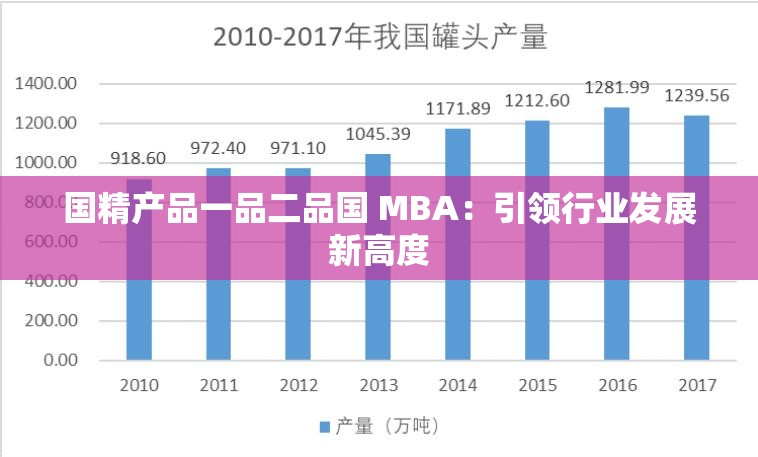 国精产品一品二品国 MBA：引领行业发展新高度