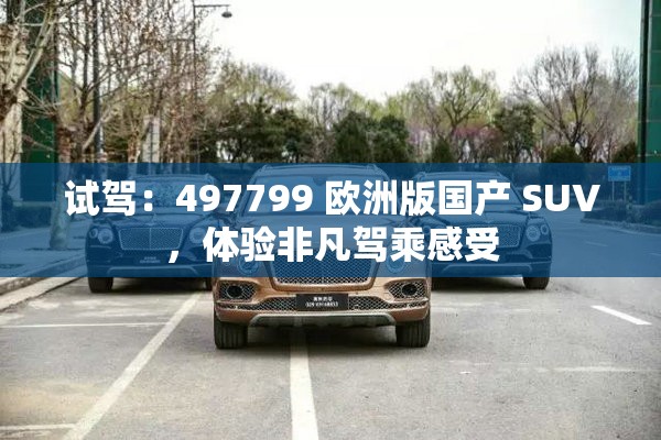 试驾：497799 欧洲版国产 SUV，体验非凡驾乘感受