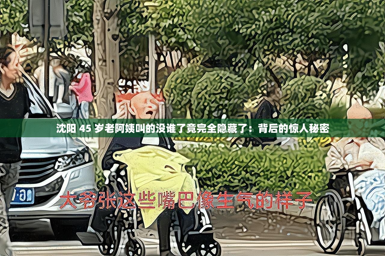 沈阳 45 岁老阿姨叫的没谁了竟完全隐藏了：背后的惊人秘密