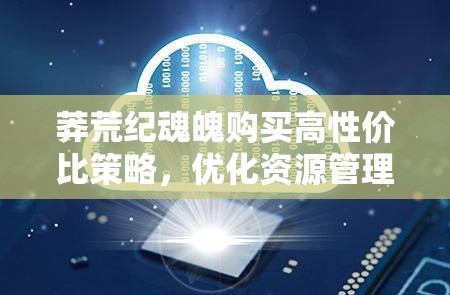 莽荒纪魂魄购买高性价比策略，优化资源管理，实现高效利用并避免浪费