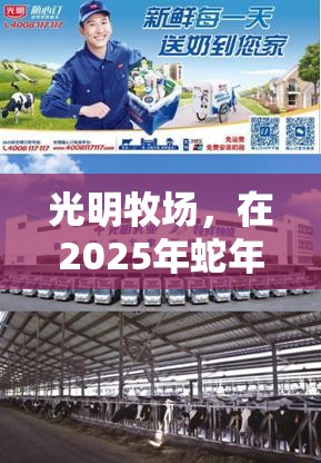 光明牧场，在2025年蛇年新春之际，探索如何打造个性化完美牧场