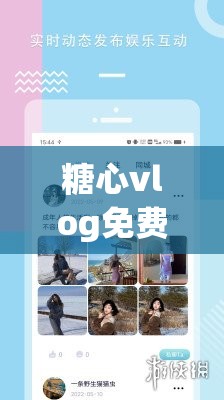 糖心vlog免费网页版：带你领略不一样的精彩世界