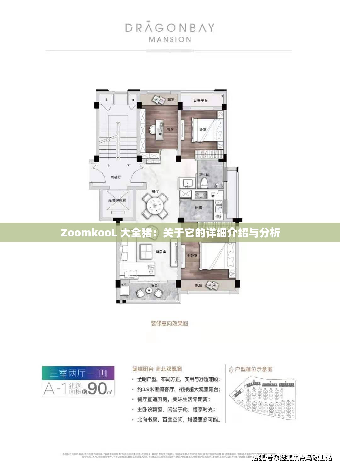 ZoomkooL 大全猪：关于它的详细介绍与分析