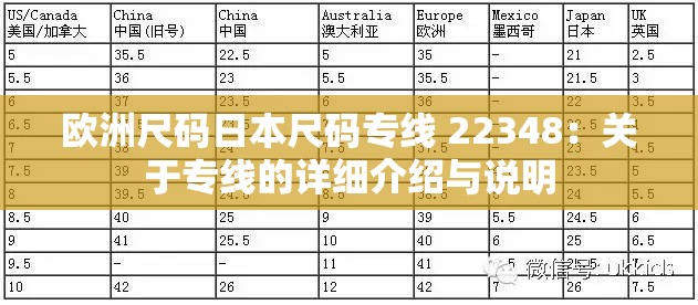 欧洲尺码日本尺码专线 22348：关于专线的详细介绍与说明