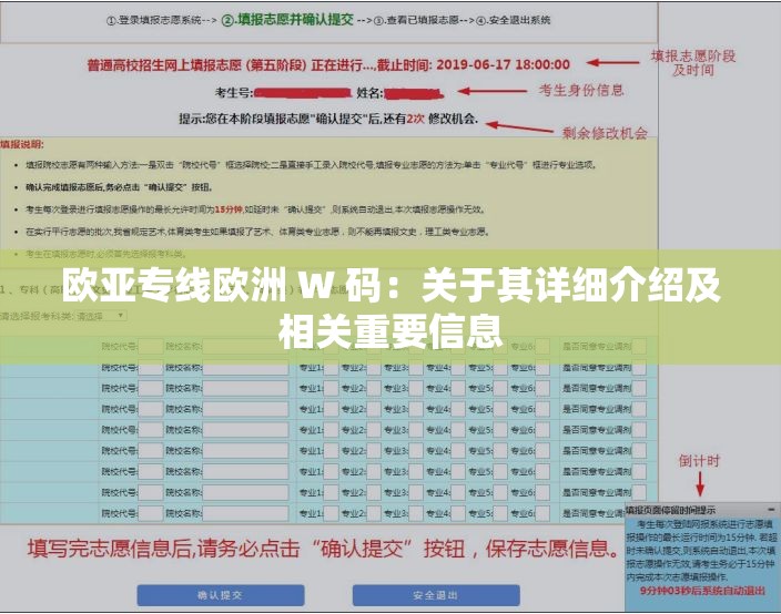 欧亚专线欧洲 W 码：关于其详细介绍及相关重要信息