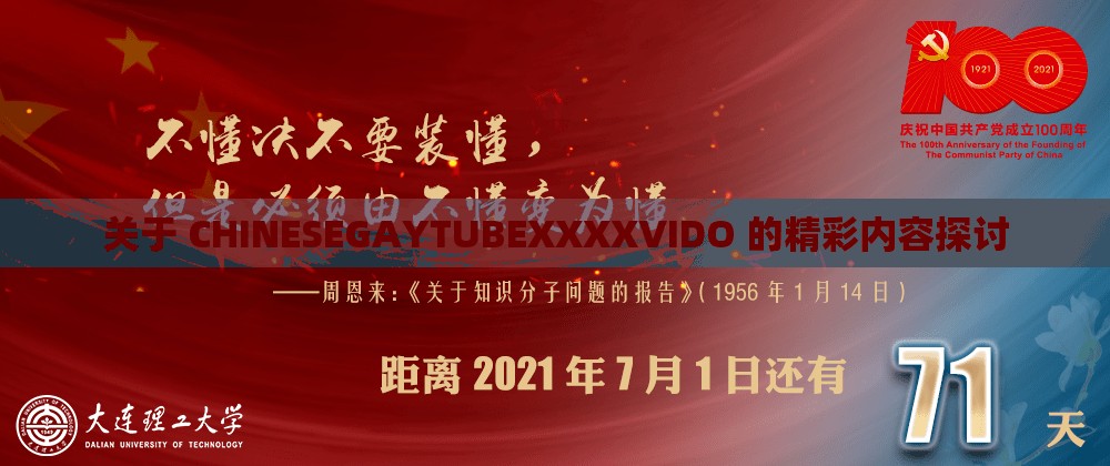 关于 CHINESEGAYTUBEXXXXVIDO 的精彩内容探讨