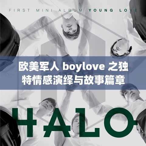 欧美军人 boylove 之独特情感演绎与故事篇章