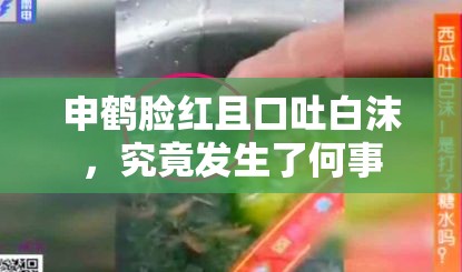 申鹤脸红且口吐白沫，究竟发生了何事