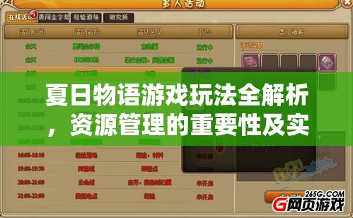 夏日物语游戏玩法全解析，资源管理的重要性及实施高效策略指南