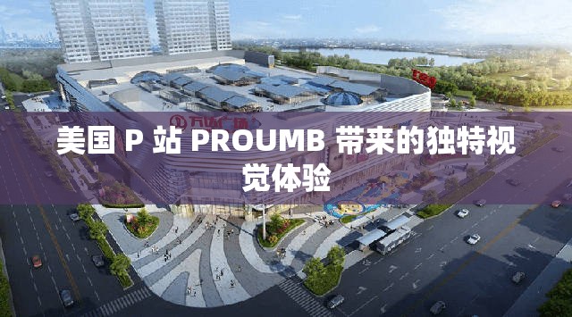 美国 P 站 PROUMB 带来的独特视觉体验