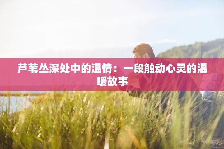 芦苇丛深处中的温情：一段触动心灵的温暖故事