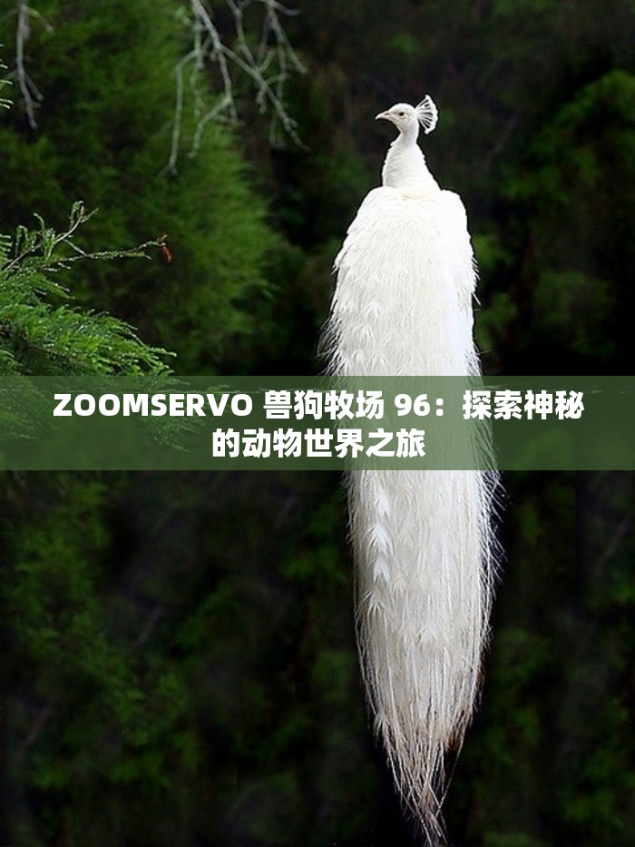 ZOOMSERVO 兽狗牧场 96：探索神秘的动物世界之旅