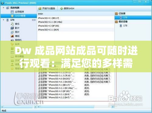 Dw 成品网站成品可随时进行观看：满足您的多样需求与期待