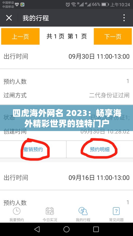 四虎海外网名 2023：畅享海外精彩世界的独特门户