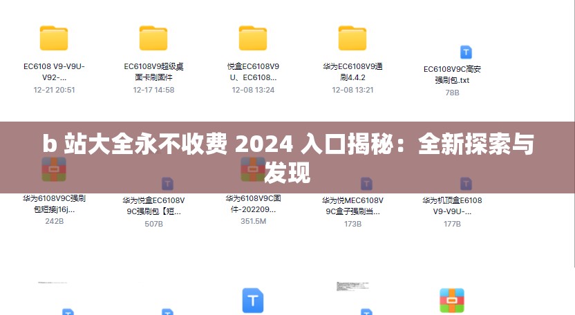 b 站大全永不收费 2024 入口揭秘：全新探索与发现