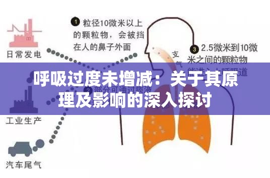 呼吸过度未增减：关于其原理及影响的深入探讨