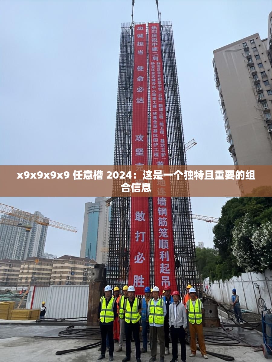 x9x9x9x9 任意槽 2024：这是一个独特且重要的组合信息