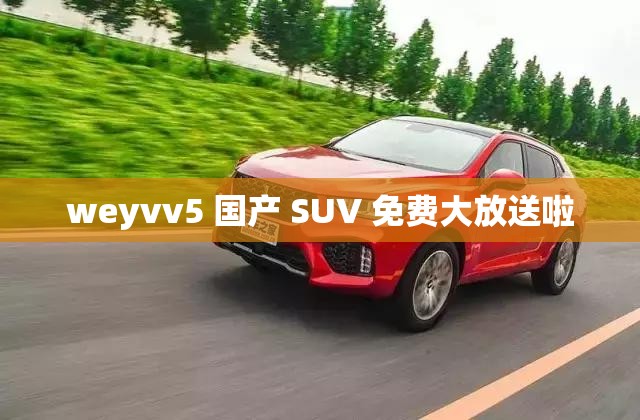 weyvv5 国产 SUV 免费大放送啦