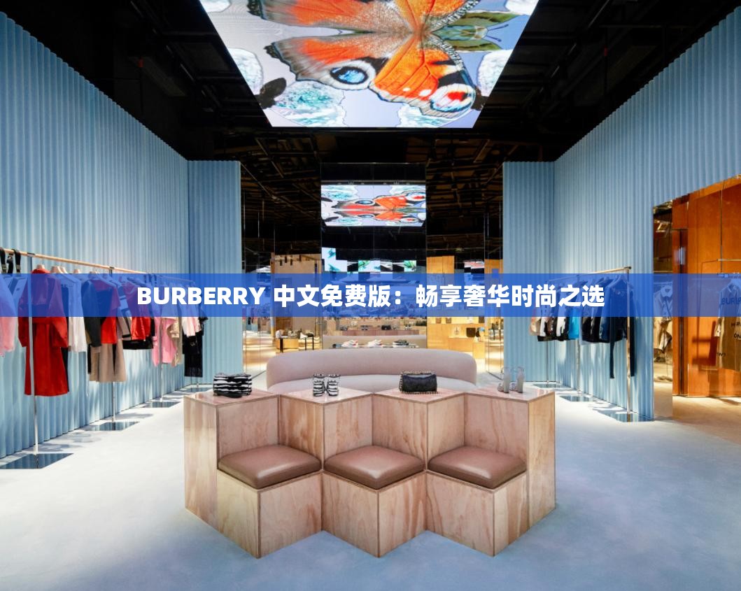 BURBERRY 中文免费版：畅享奢华时尚之选