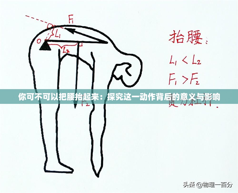 你可不可以把腰抬起来：探究这一动作背后的意义与影响