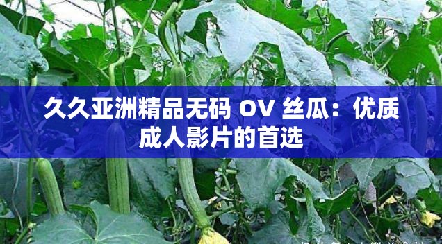 久久亚洲精品无码 OV 丝瓜：优质成人影片的首选